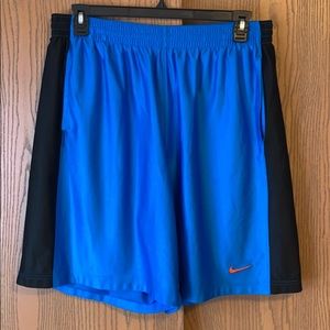 COPY - Nike Blue Athletic Shorts 2XL